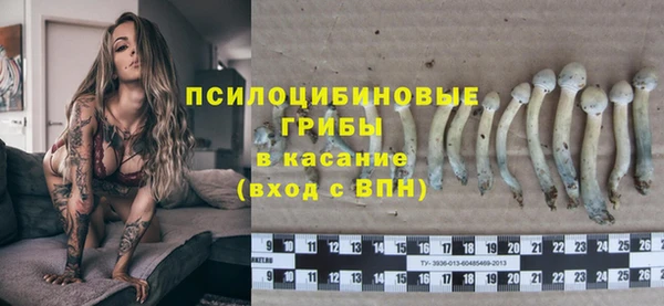 ГАЛЛЮЦИНОГЕННЫЕ ГРИБЫ Алексеевка