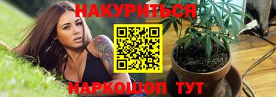 ешки Кингисепп