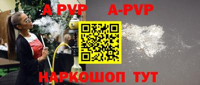 ешки Кингисепп
