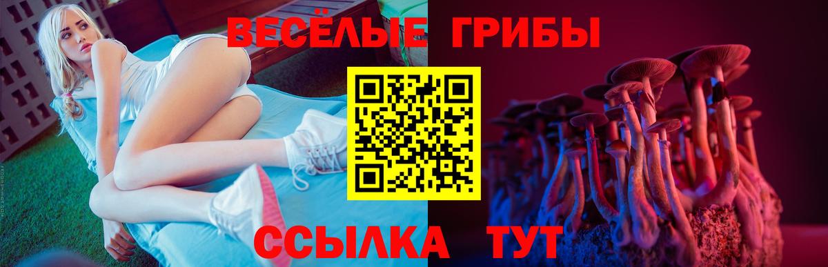 Галлюциногенные грибы Cubensis Красноуфимск